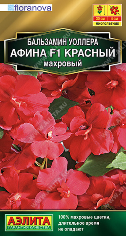 Афина красный махровый Ц(А)