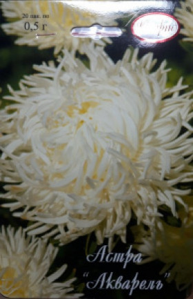 Астра Акварель Белая Каприс