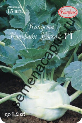 Капуста кольраби Коссак Каприс