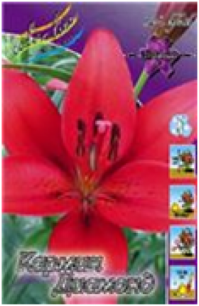 Кармин Диамонд (ЛА)  7шт