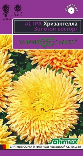 Хризантелла Золотой восторг Ц(Г)