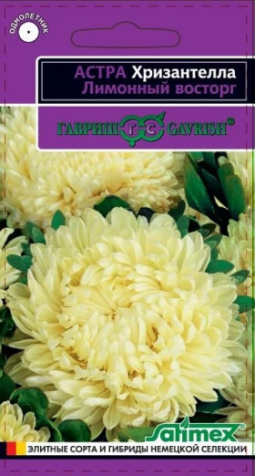 Хризантелла Лимонный восторг Ц(Г)