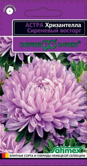 Хризантелла Сиреневый восторг Ц(Г)