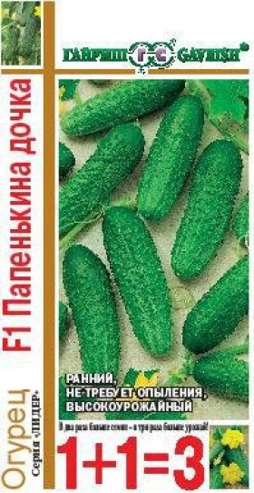 Папенькина дочка 1+1 Ц(Г)