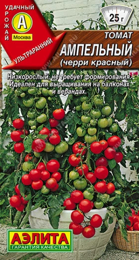 Ампельный черри красный Ц(А)