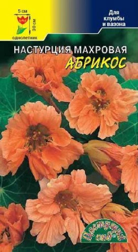 Абрикос махровая /Цветущий Сад