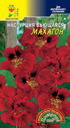 Махагон вьющаяся Цветущий Сад