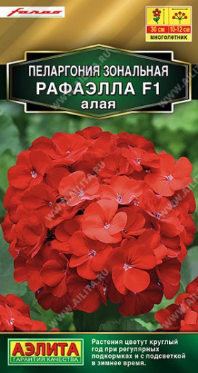 Рафаэлла F1 алая Ц(А)