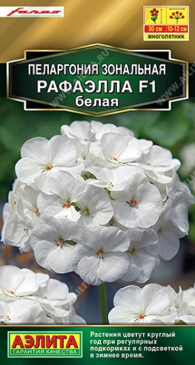 Рафаэлла F1 белая Ц(А)