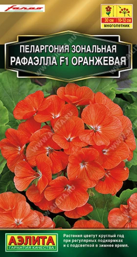 Рафаэлла F1 оранжевая Ц(А)