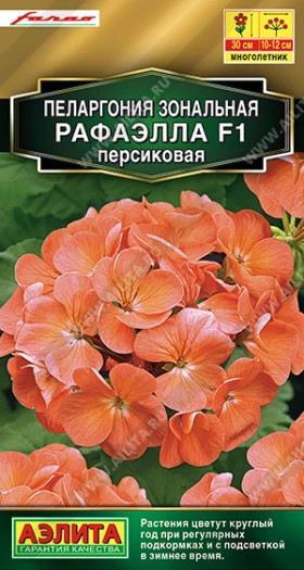 Рафаэлла F1 персиковая Ц(А)