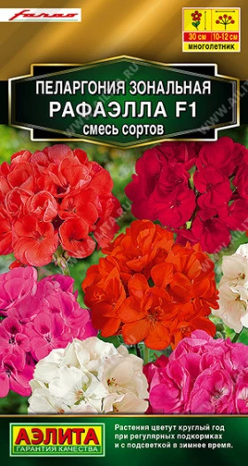 Рафаэлла F1 смесь окрасок Ц(А)