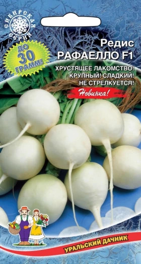 Рафаэлло Ц(УД)