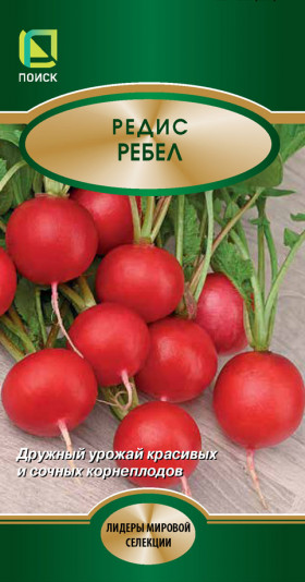 Ребел Ц(Поиск) 2г