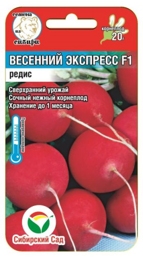 Весенний экспресс СС