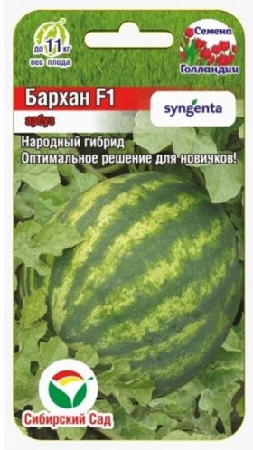 Бархан СС