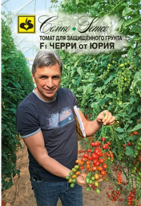 Черри от Юрия (Семко) 5шт