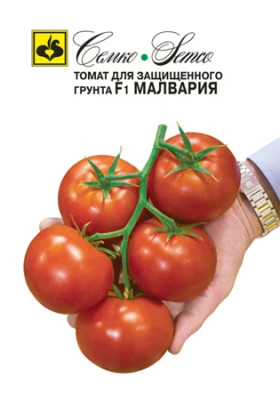 Малвазия Семко 5шт