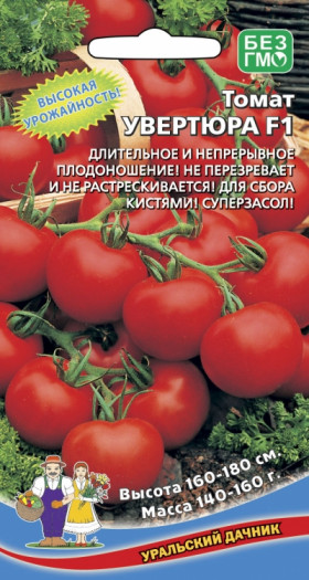 Увертюра Ц(УД)