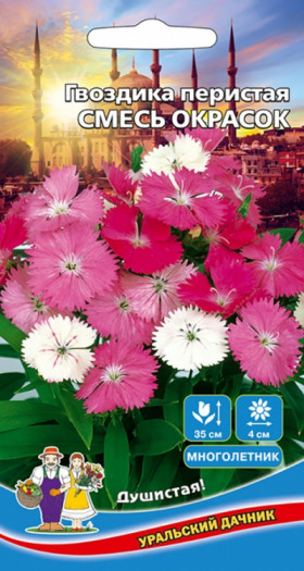 Пестрая Смесь окрасок Ц(УД)