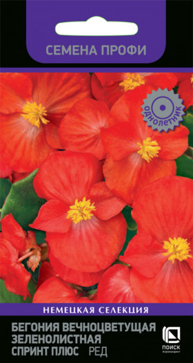 Спринт Плюс Ред Ц(Поиск)