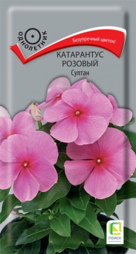Султан розовый Ц(Поиск)