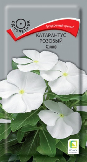 Халиф розовый Ц(Поиск)