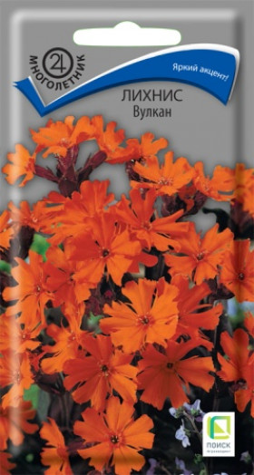 Вулкан 0,1гр Ц(Поиск)