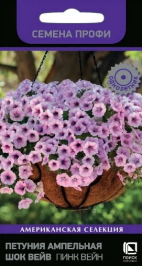 Шок Вейв Пинк Вейн Ц(Поиск)