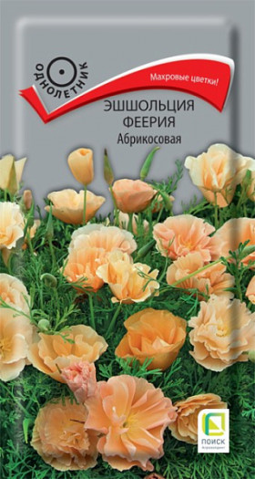 Феерия Абрикосовая Ц(Поиск)