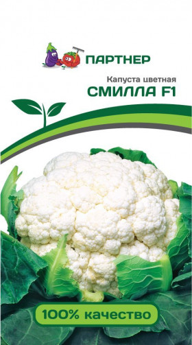 цветная Смилла Партнер 10шт