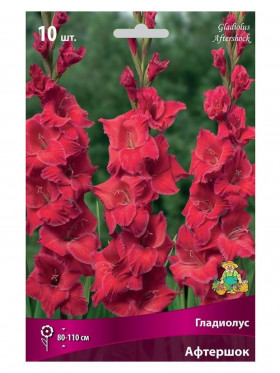 Афтершок 10шт Поиск