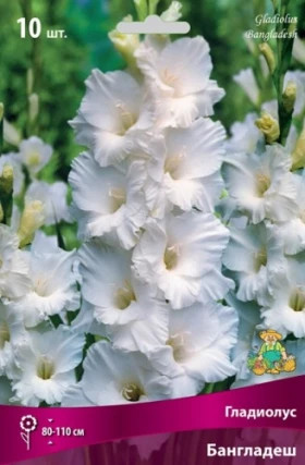 Бангладеш 10/12 10шт Поиск