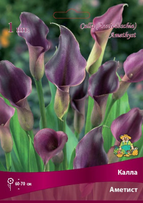 Аметист Поиск