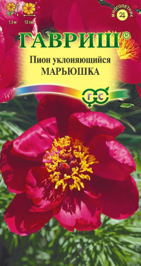 Марьюшка уклон. Ц(Г)