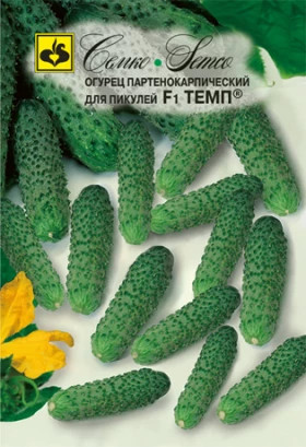 Темп (Семко) (12047                    )