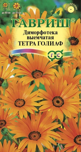 Тетра Голиаф Ц(Г)