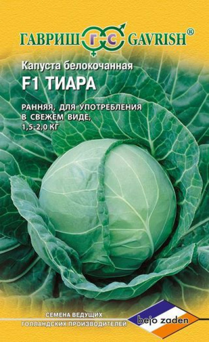 Тиара Ц(Г)