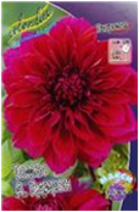 Томас А.Эдисон 1 шт