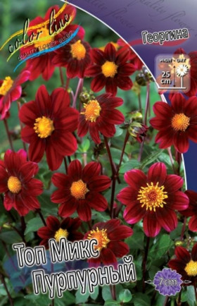Топ Микс Пурпурный 1 шт