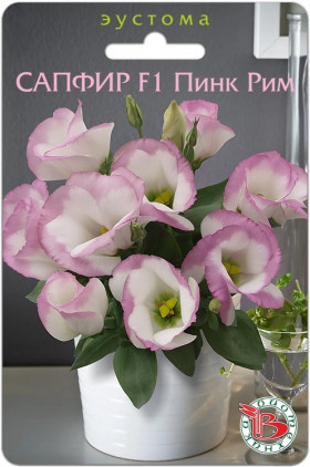 Сапфир Пинк Рим горшечная Биотехника