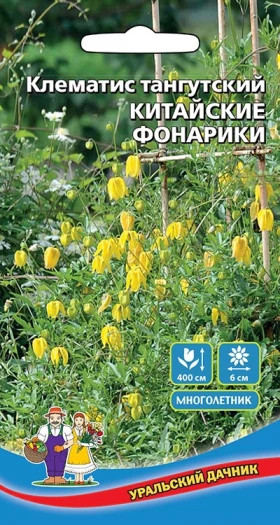 Китайские фонарики Ц(УД)