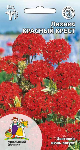 Красный крест Ц(УД)