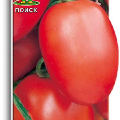 Новичок 0,1г Б(Поиск)