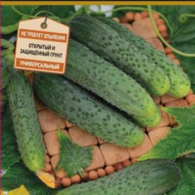 Изумрудная россыпь Ц(Поиск)