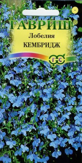 Кембридж Ц(Г)