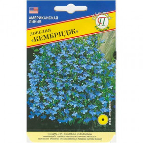 Кембридж Ц(П)