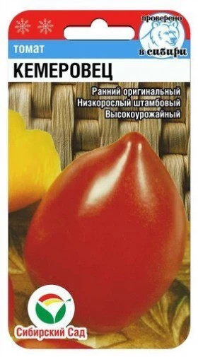 Кемеровец СС