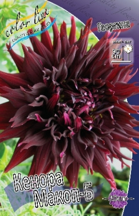 Кенора Макоп-Б\1шт