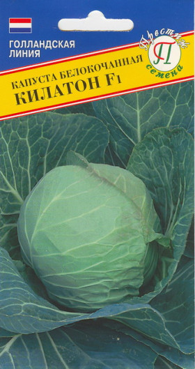 Килатон Ц(П)